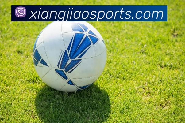 香蕉体育平台服务体系